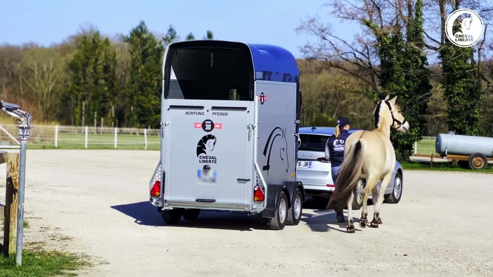 Remolque para caballos de doble eje, azul y blanco, enganchado a un coche y listo para salir