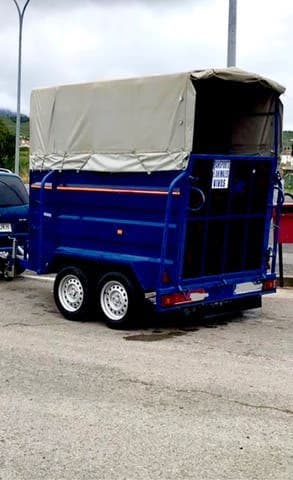 Remolque Caballos Van de ocasión para dos caballos con matrícula roja