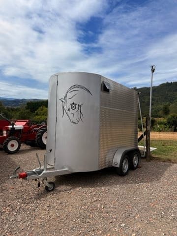 Remolque Caballos Van de ocasión para dos caballos con matrícula roja