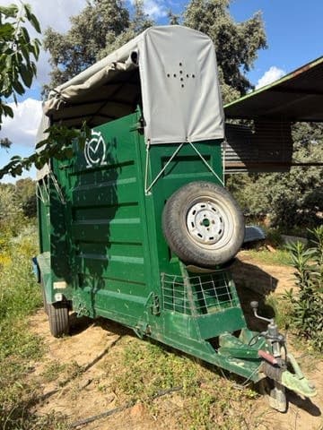 Remolque Caballos Van de ocasión para dos caballos con matrícula roja