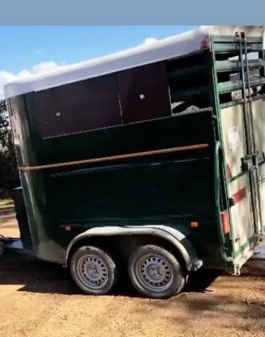 Remolque Caballos Van de ocasión para dos caballos