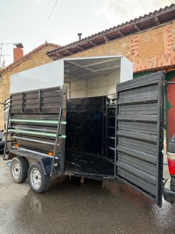 Remolque Caballos Van para dos caballos con matrícula blanca