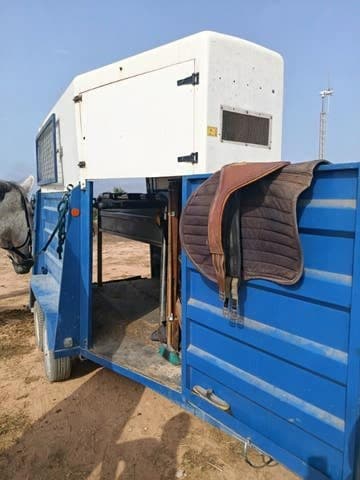Remolque Caballos Van de ocasión para dos caballos