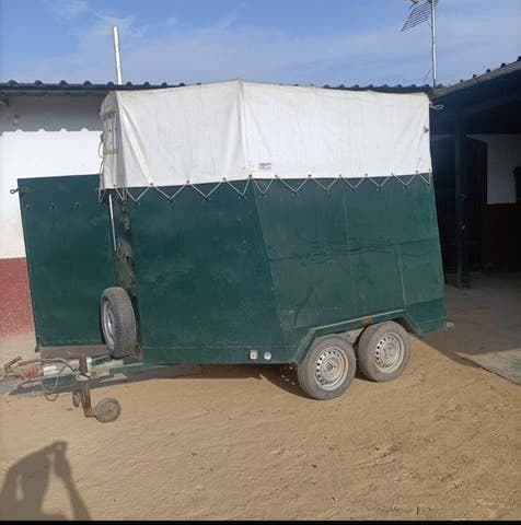 Remolque Caballos Van de ocasión para dos caballos con matrícula roja (ref. 55983)