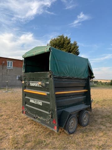 Remolque Caballos Van de ocasión para dos caballos