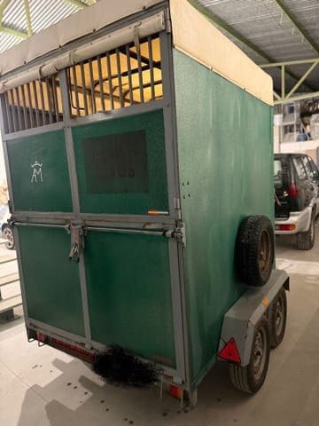 Remolque Caballos Van de ocasión para dos caballos con matrícula roja
