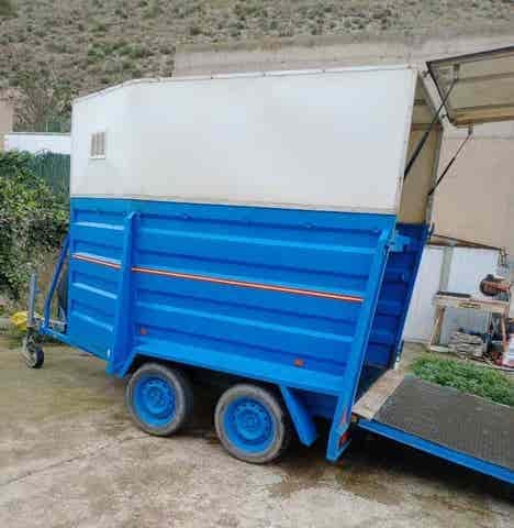 Remolque Caballos Van de ocasión para dos caballos con matrícula roja