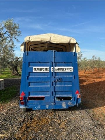 Remolque Caballos Van de ocasión para dos caballos (ref. 58434)