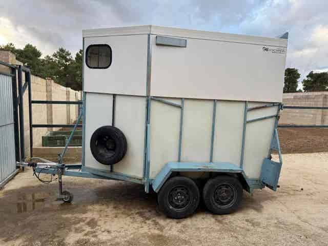 Remolque Caballos Van de ocasión para dos caballos