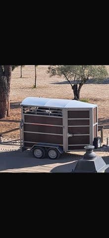 Remolque Caballos Van de ocasión para dos caballos con matrícula blanca