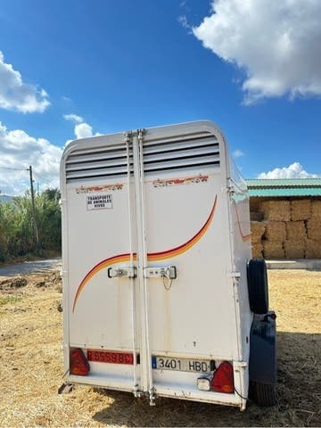 Remolque Caballos Van de ocasión para dos caballos