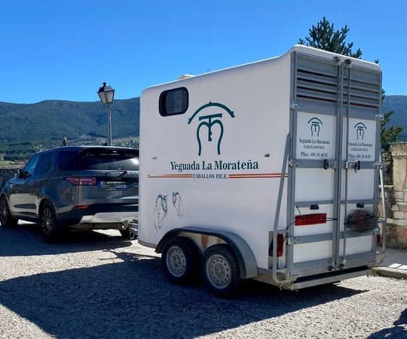 Remolque Caballos Van de ocasión para dos caballos